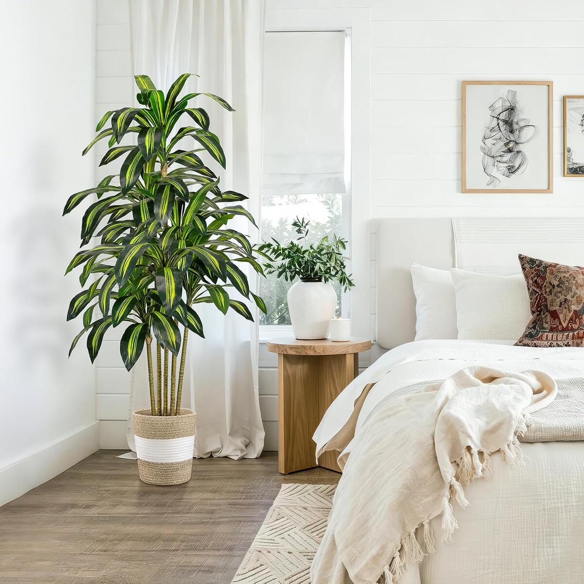 Artificial Dracaena Tree Deal - RebateKey