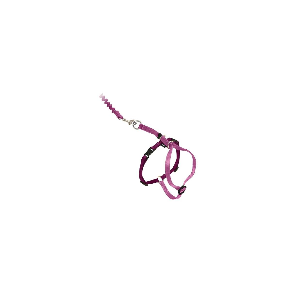 PetSafe Come with Me Kitty Cat Harness & Bungee Leash - Comfortable No-Choke Harness with Lightweight Bungee Leash for Outdoor Fun - Escape Free Pulling Prevention - Large - Dusty Rose