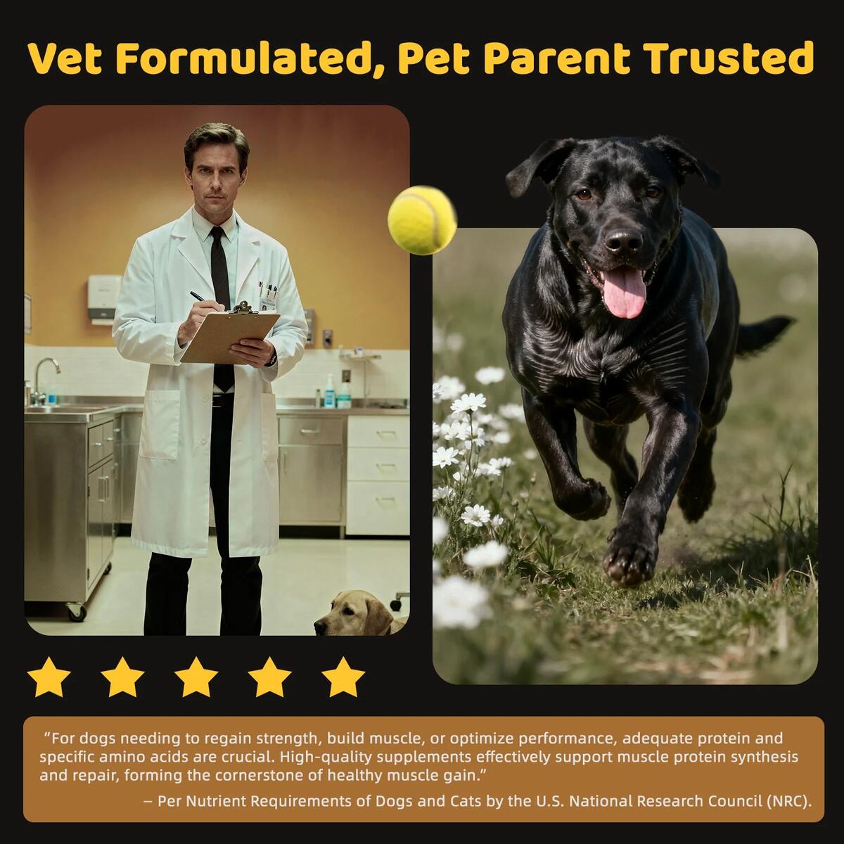 Muscle Builder Performance Coupon - RebateKey