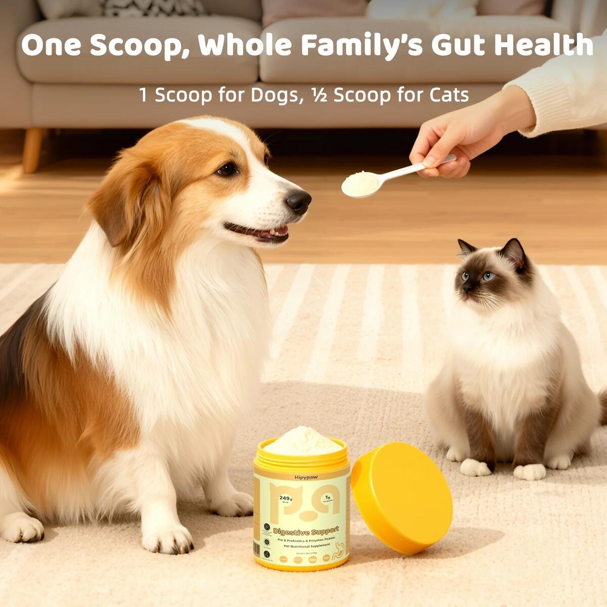 Gut Digestive Health Coupons - RebateKey