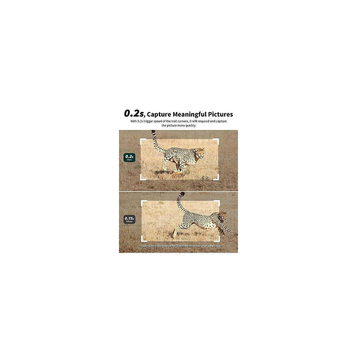 Cellular Trail Cameras With Live Streaming 1 Coupons - RebateKey