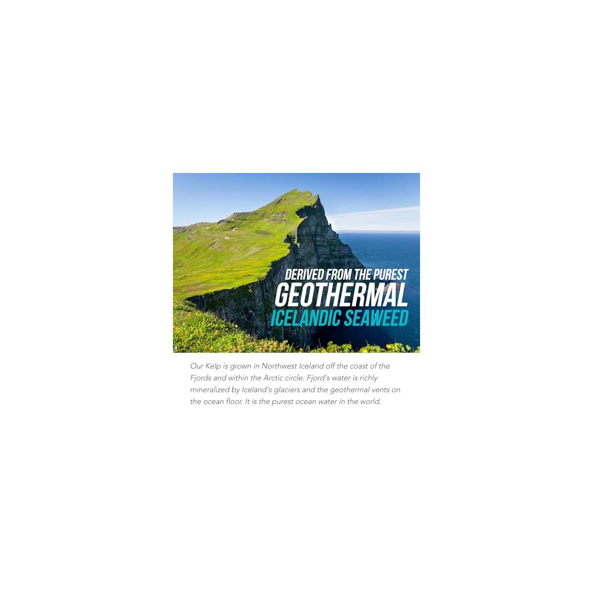 Organic Iodine Supplement Promo Codes - RebateKey