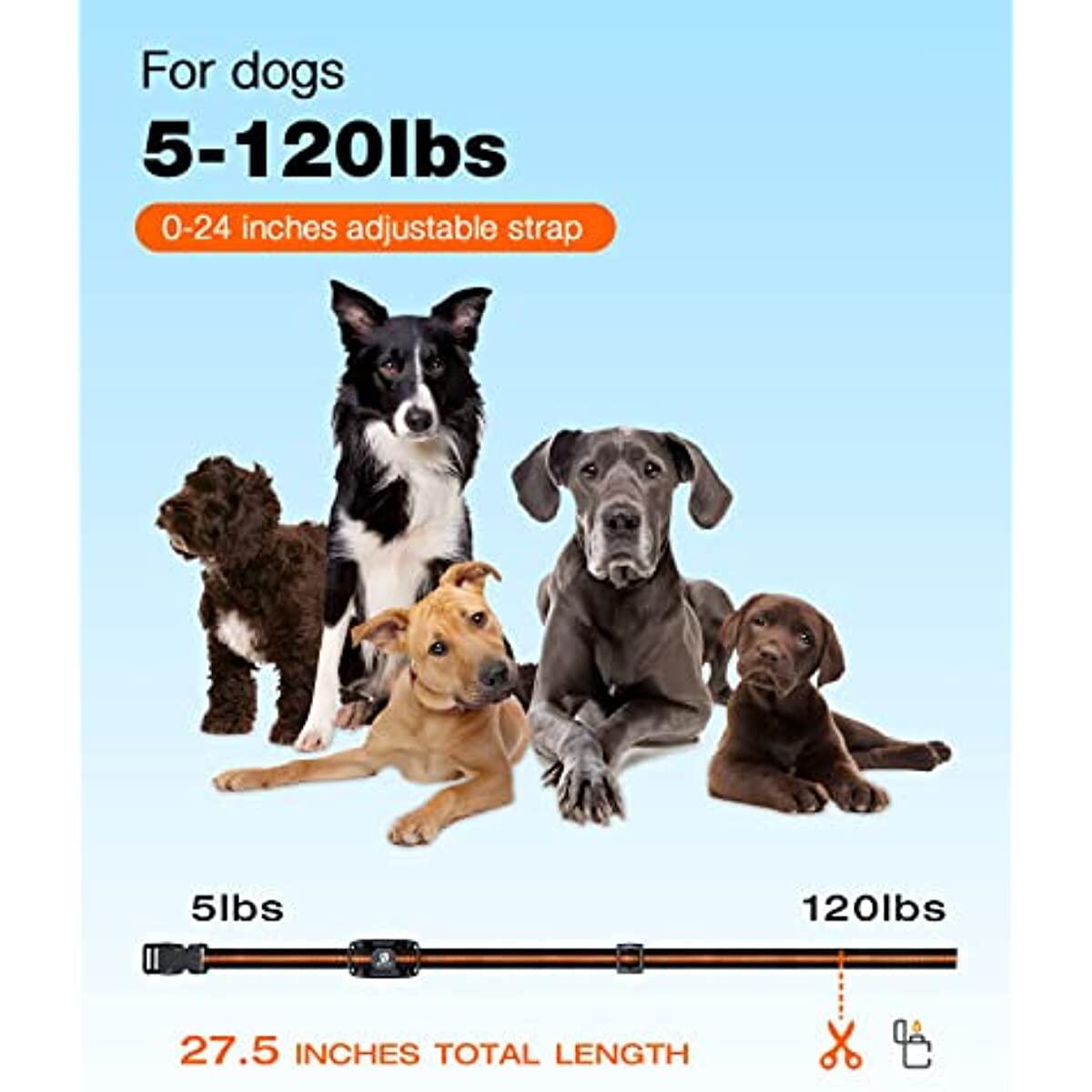 Bousnic Dog Shock Collar Deals - RebateKey