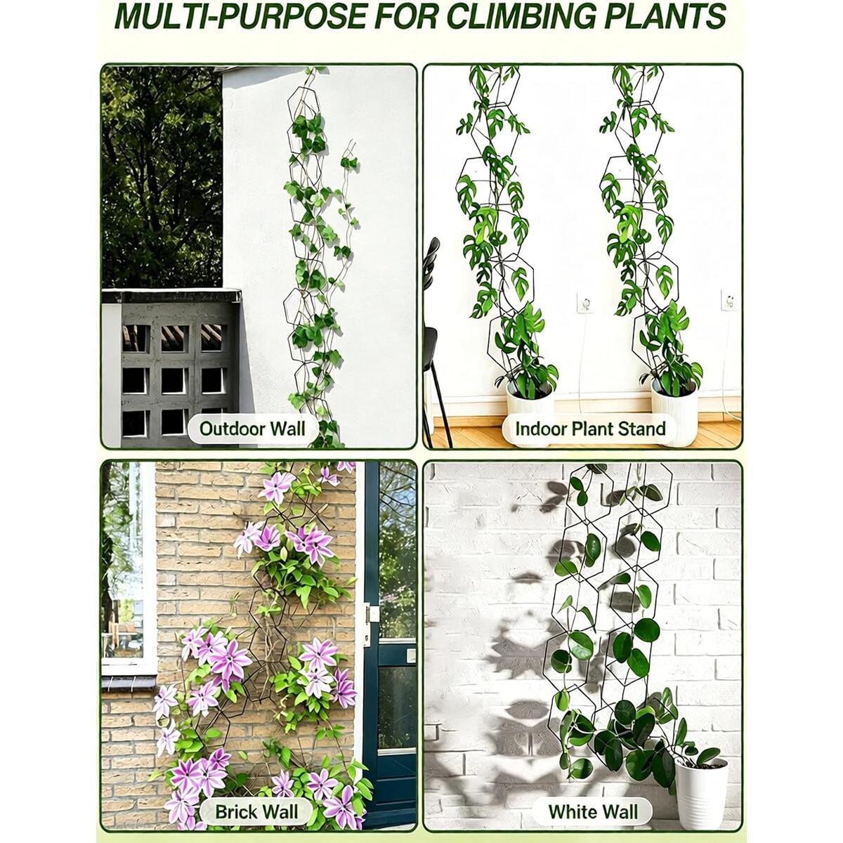 Hexagonal Chain Trellis For Promo Codes - RebateKey