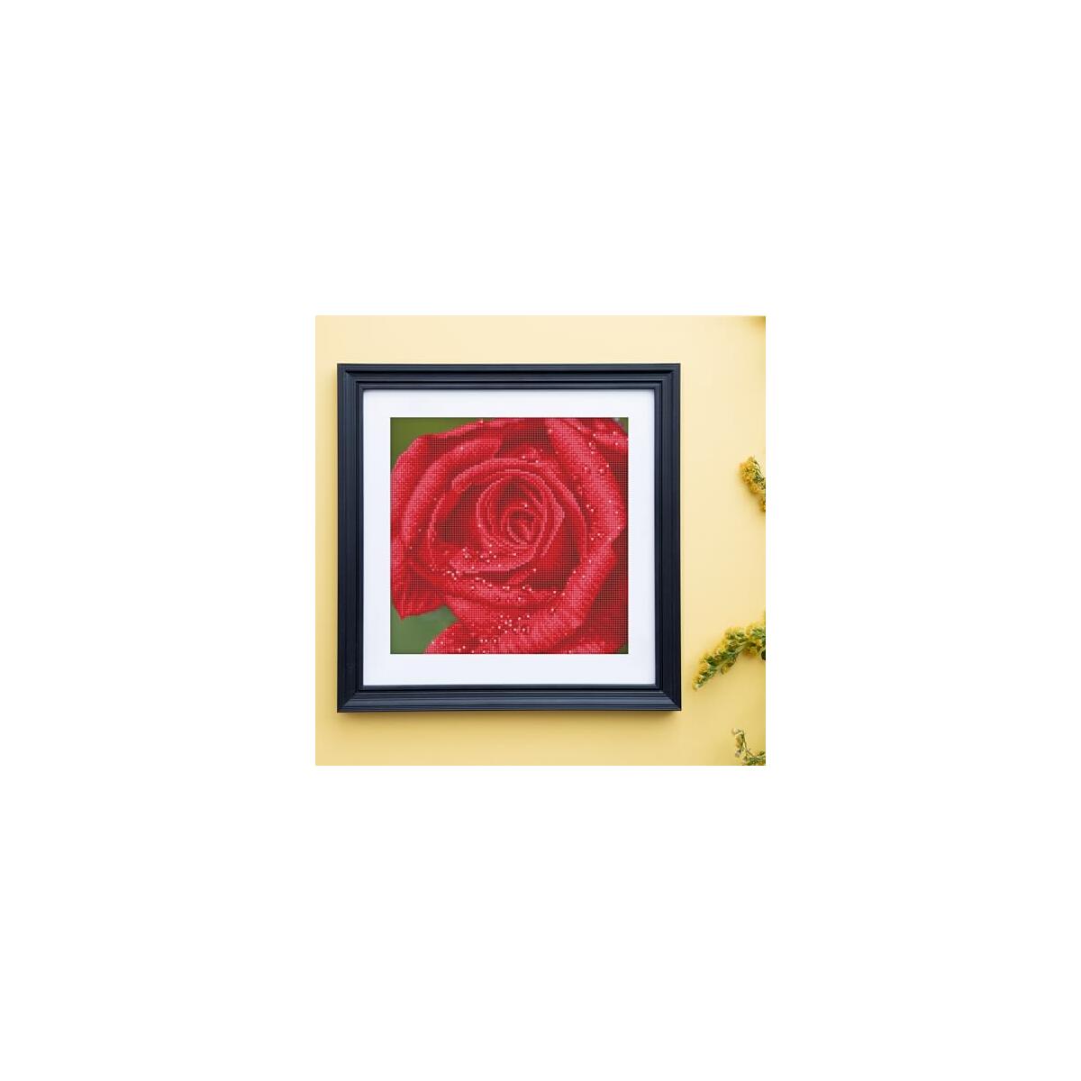 Diamond Dotz Rose Dew Promo Code - RebateKey