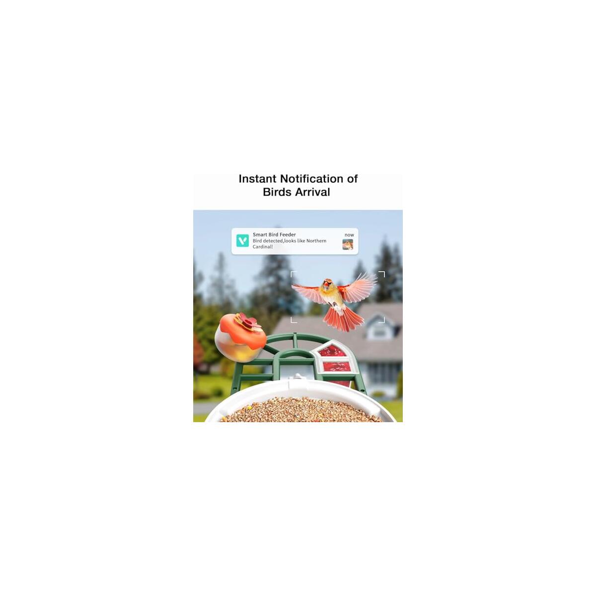 Bird Feeder With Camera 2k Live Video 3 Promo Code - RebateKey