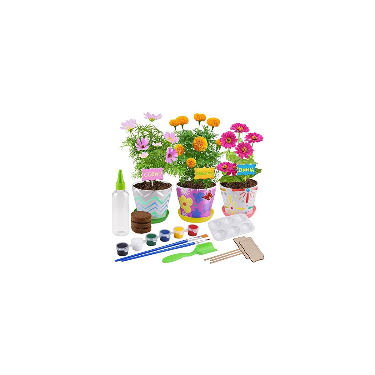 Kids Plant Growing Kit Coupon - RebateKey