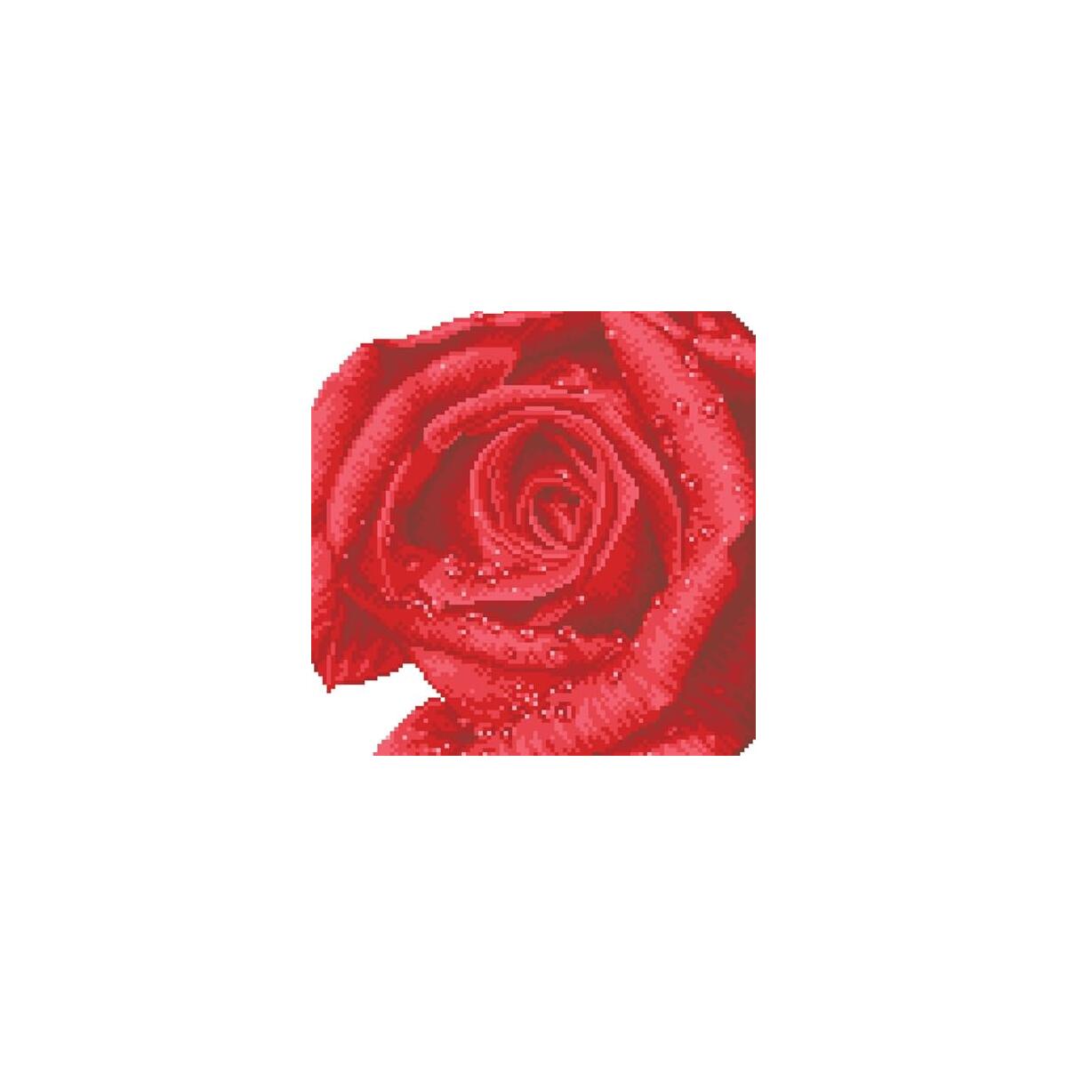 Diamond Dotz Rose Dew Promo Code - RebateKey