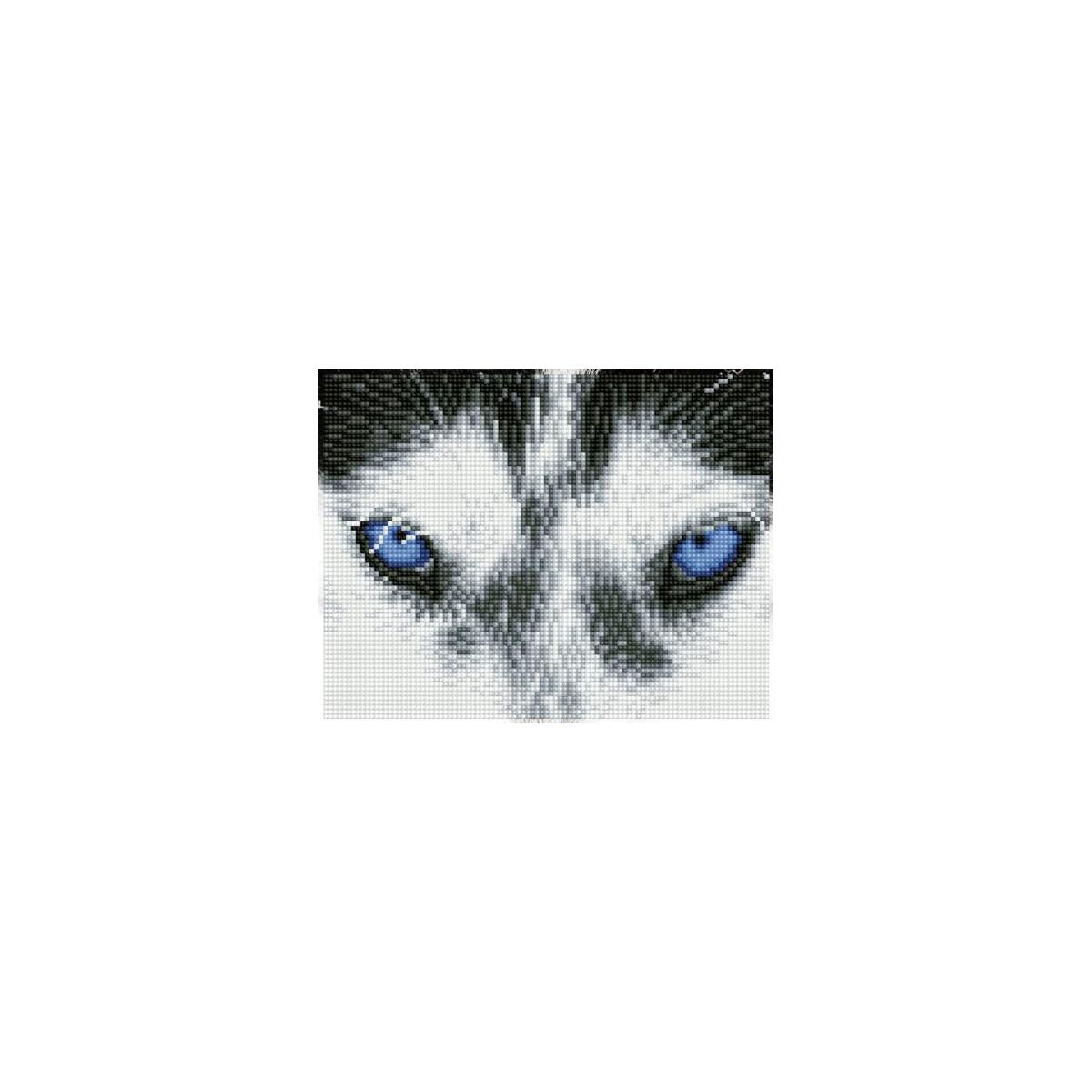 Diamond Dotz Mystic Husky Deal - RebateKey