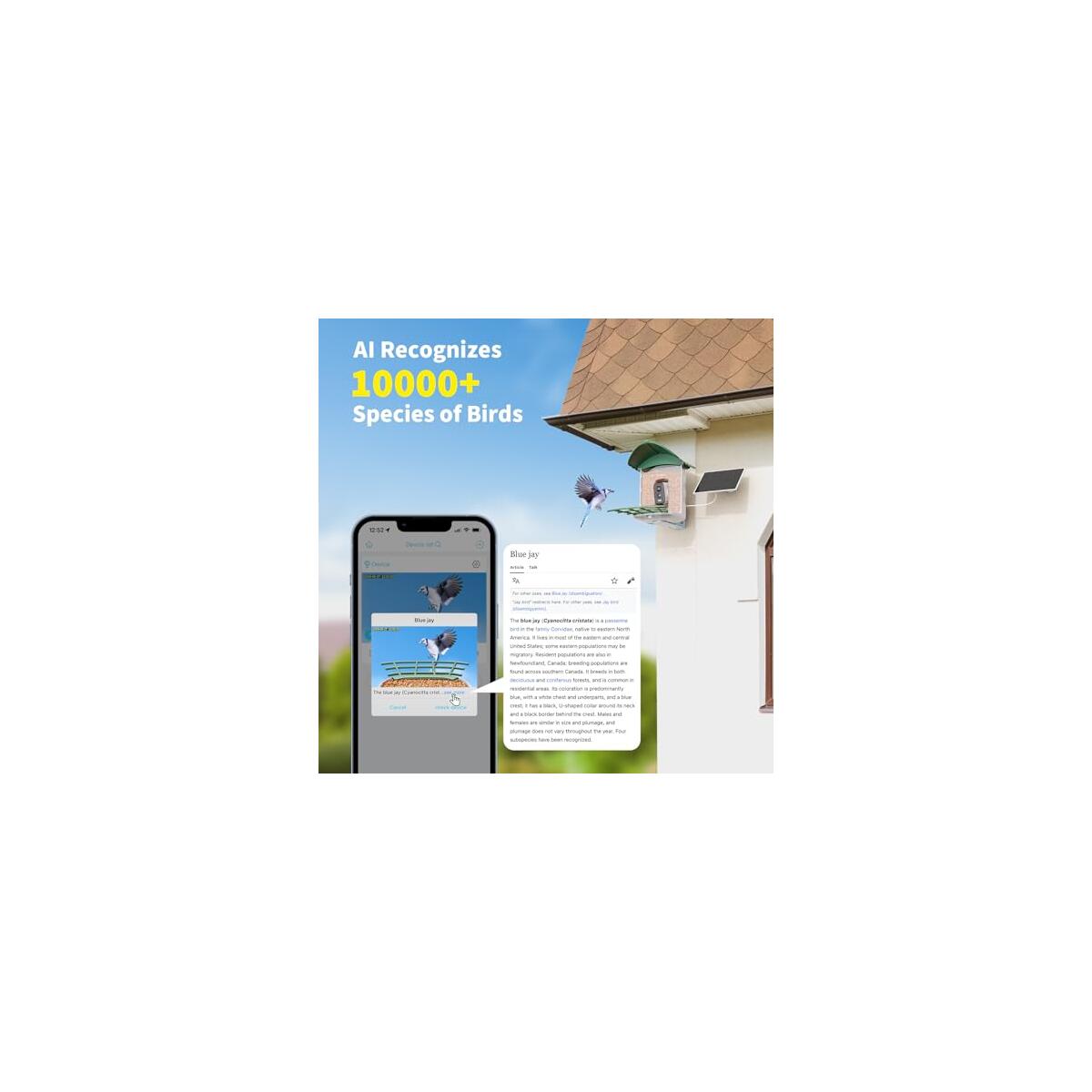 Bird Feeder With Camera 4 Coupon - RebateKey