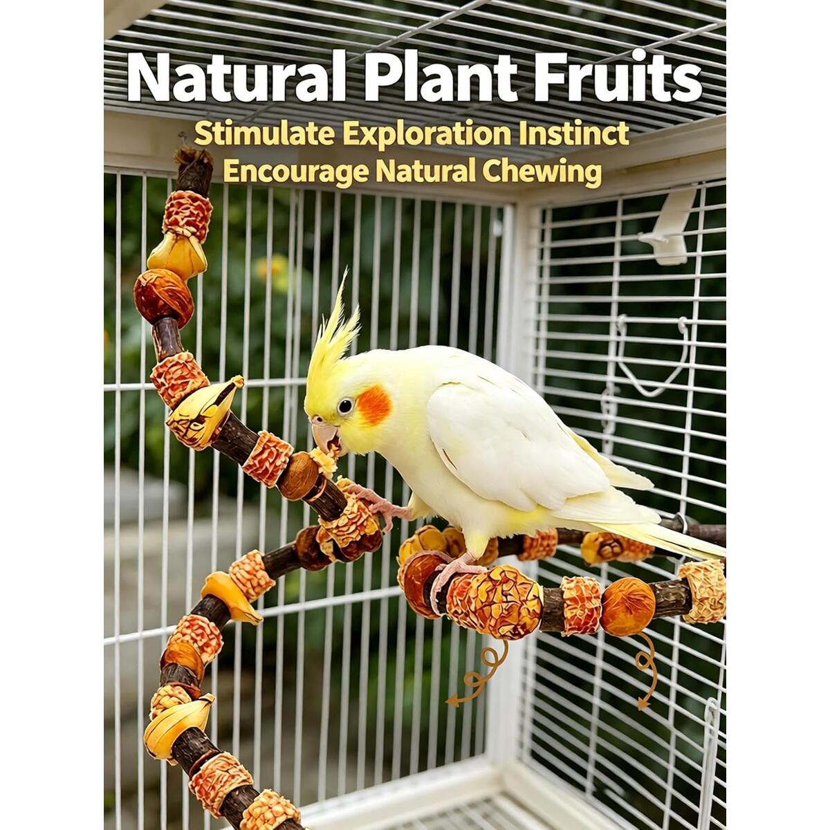 Natural Parrot Perch Coupons - RebateKey