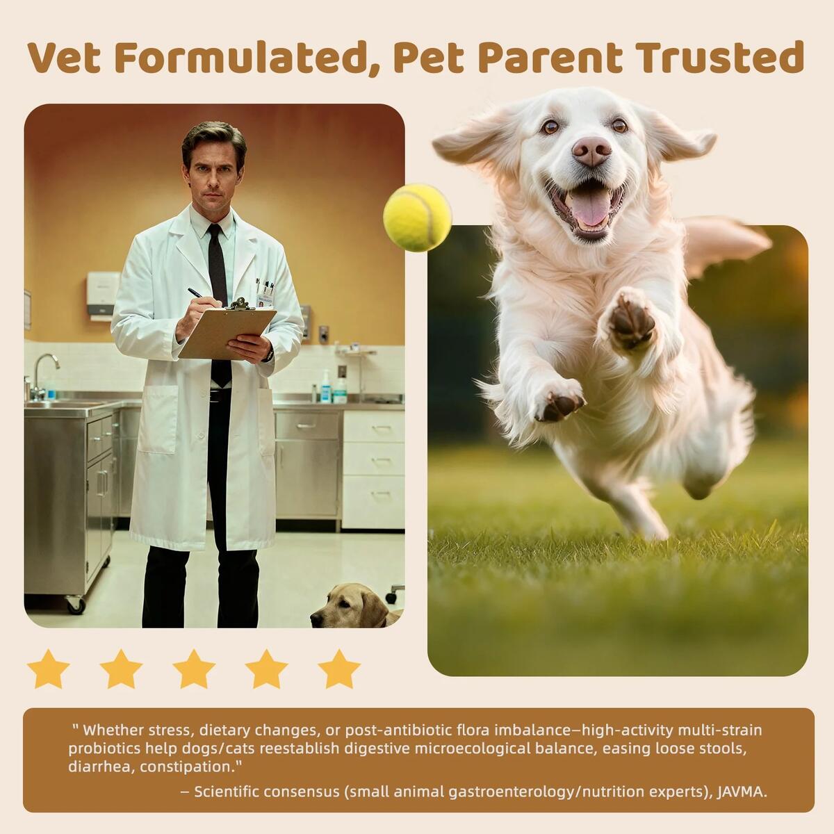 Gut Digestive Health Coupons - RebateKey