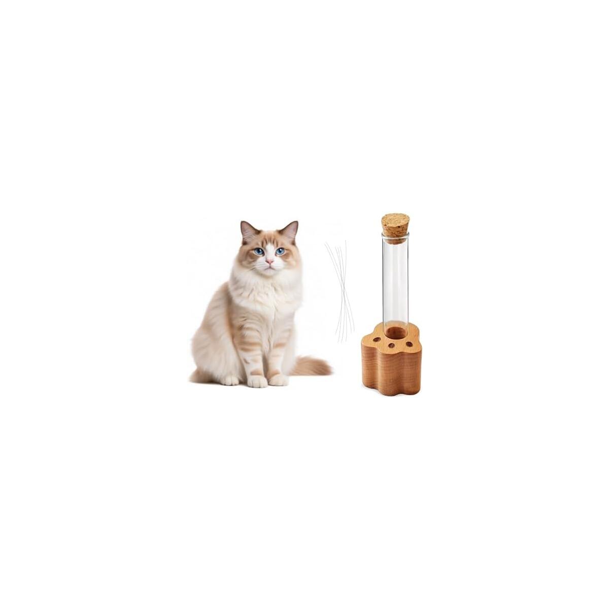 DegoCyhton Cat Whisker Holder, Wooden Clear Glass Jar, Sealed Cork Memorial Vase, Premium Cat Fur Keepsake, Desktop Display Decor Accent, Home Decor for Feline Owners, Thoughtful Pet Lover Gift