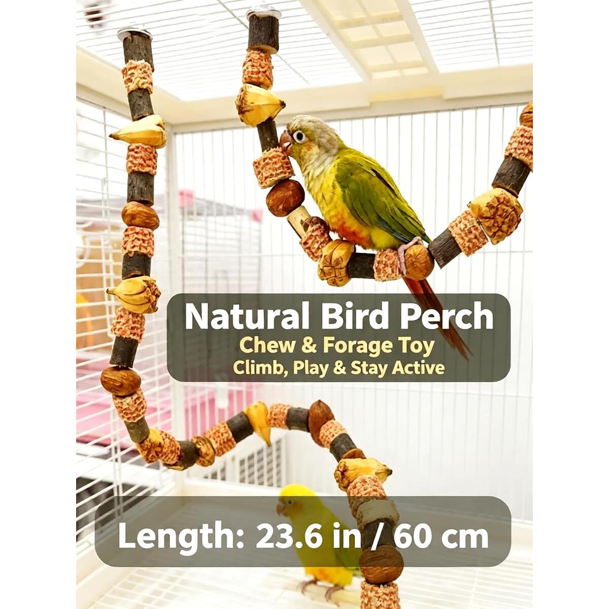 Natural Parrot Perch Coupons - RebateKey