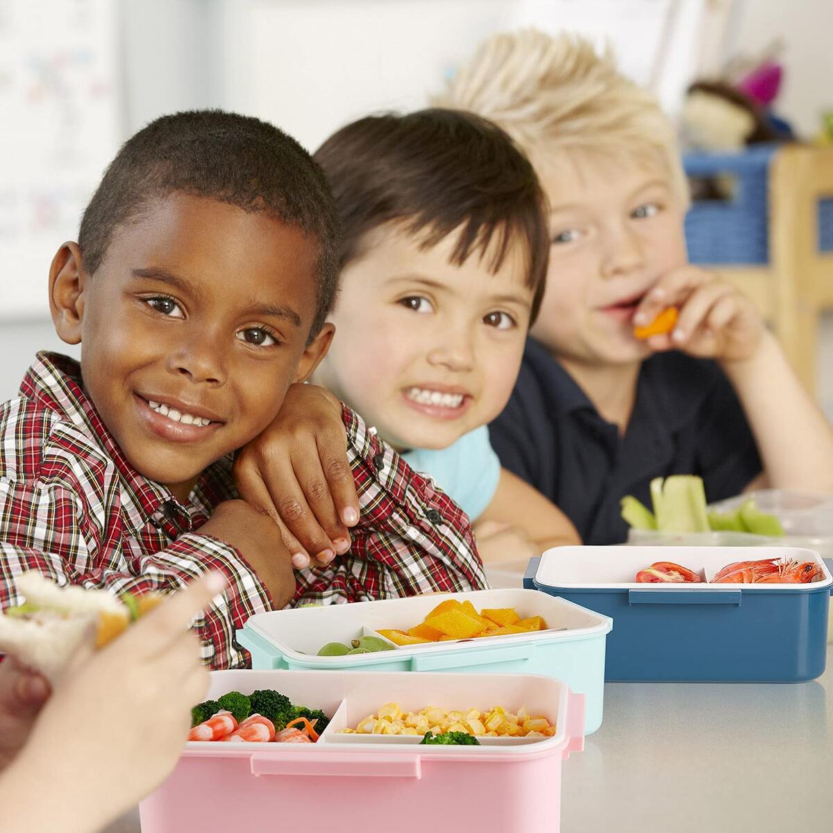 Bento Box For Adults Deal - RebateKey