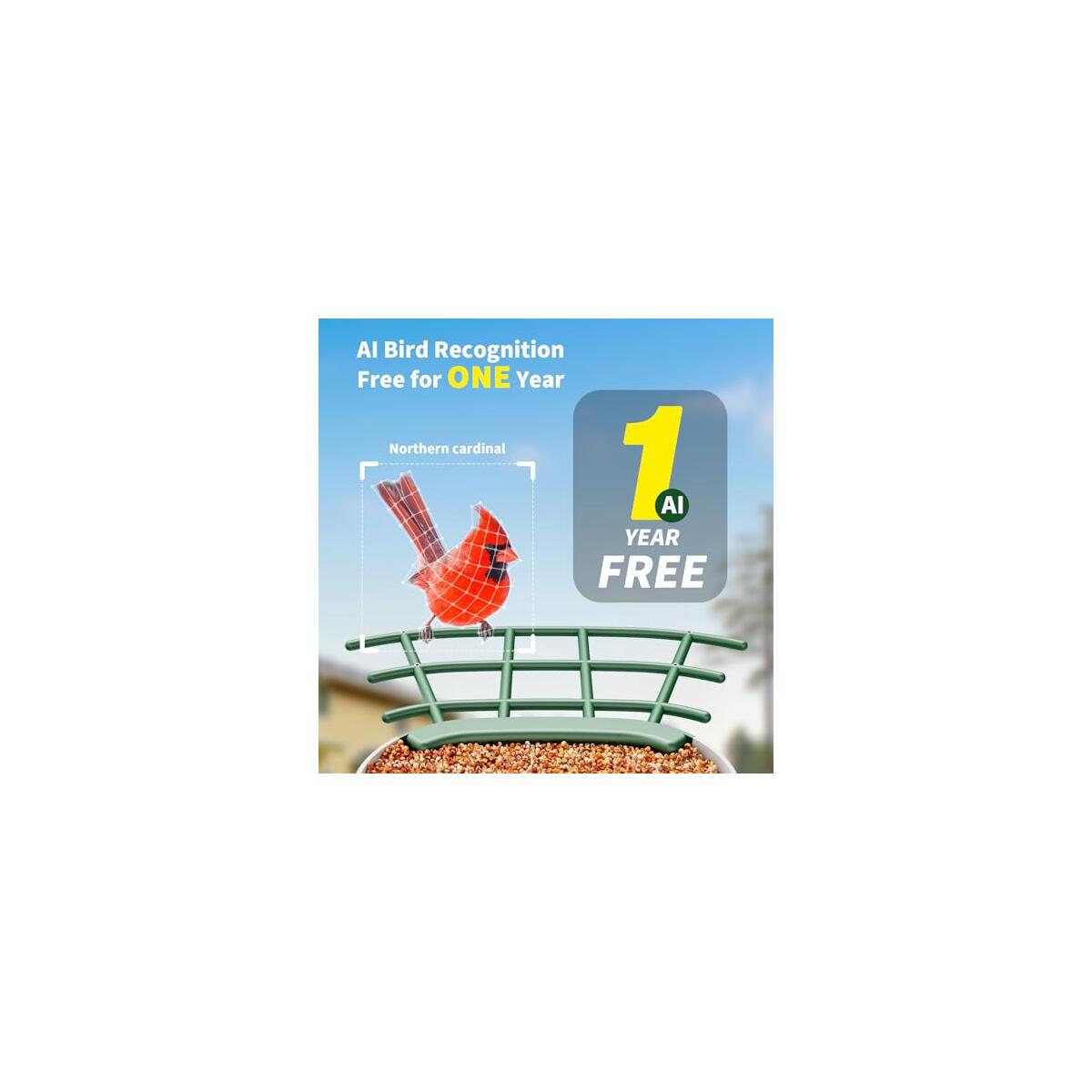 Bird Feeder With Camera 4 Coupon - RebateKey