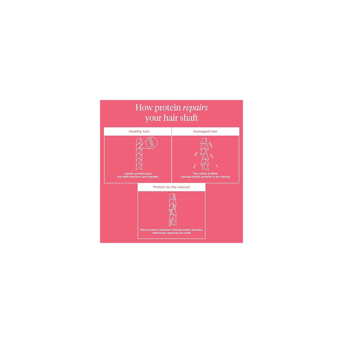 Briogeo Dont Despair Repair Promo Code - RebateKey