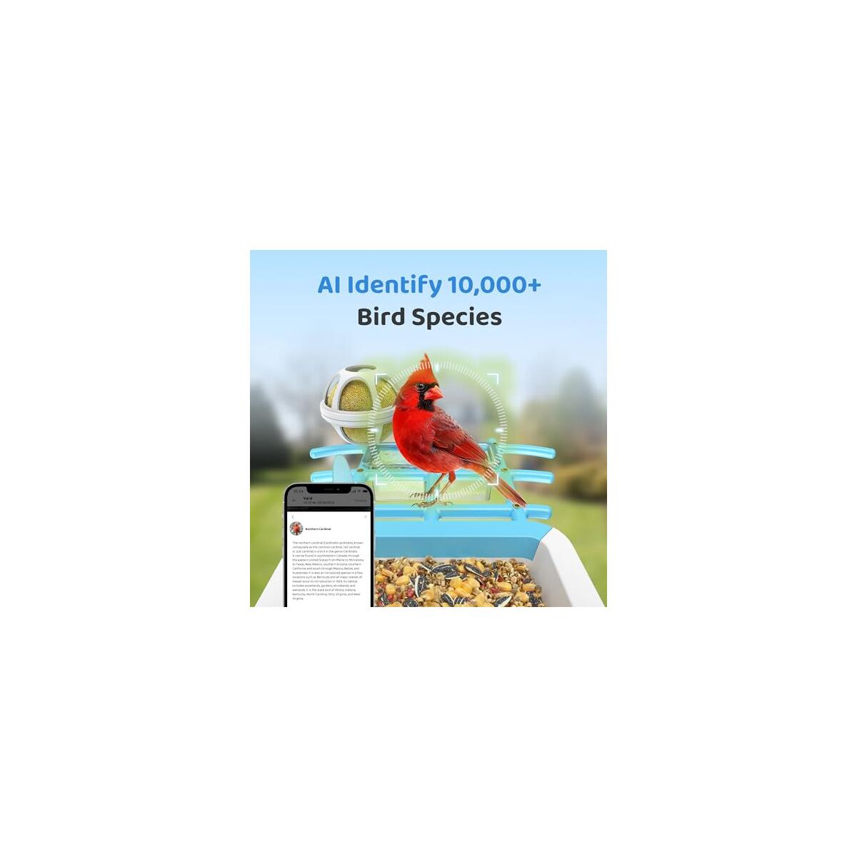 Smart Bird Feeder With Camera Solar Powered Deals - RebateKey