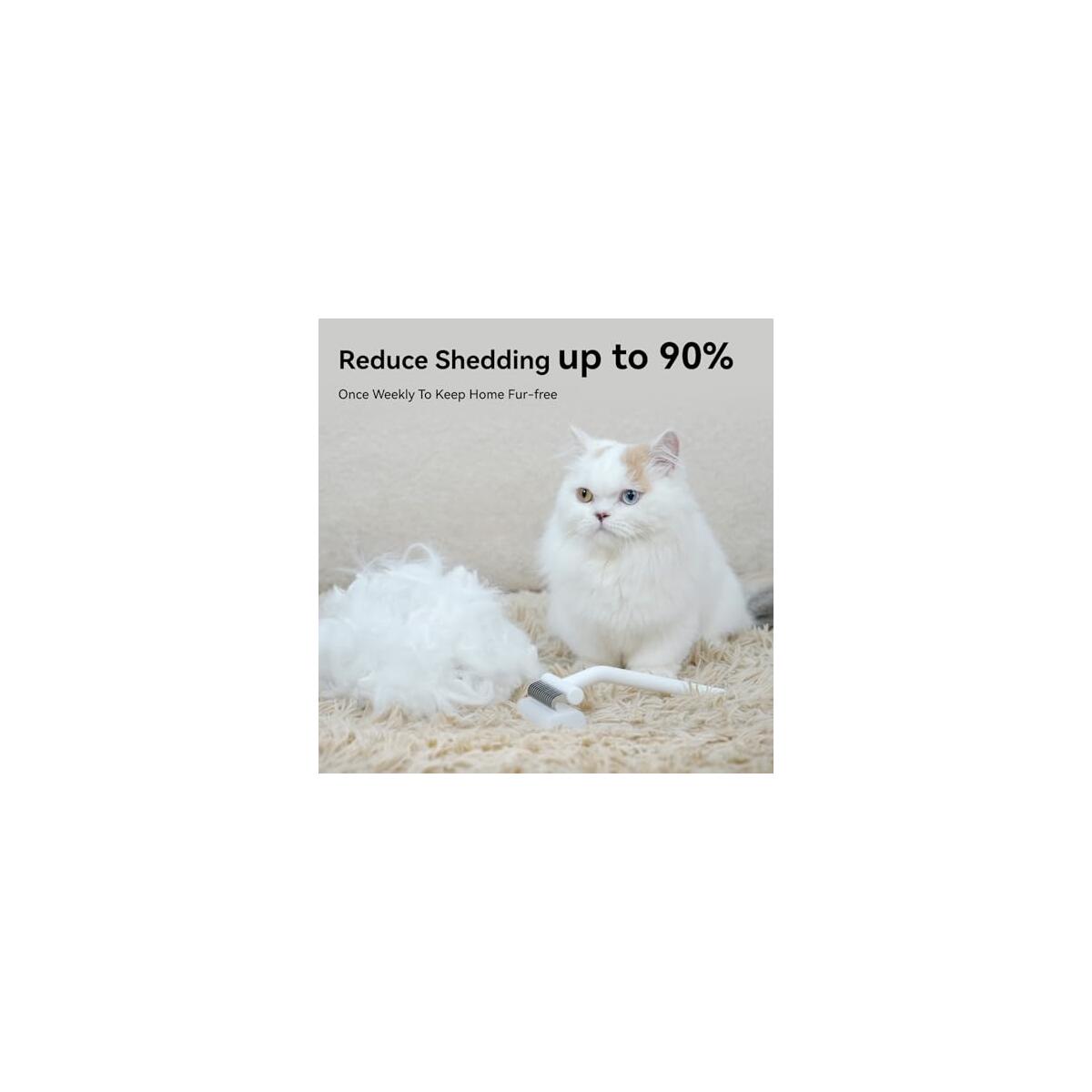 20 Off Coupon 98 Coupons - RebateKey