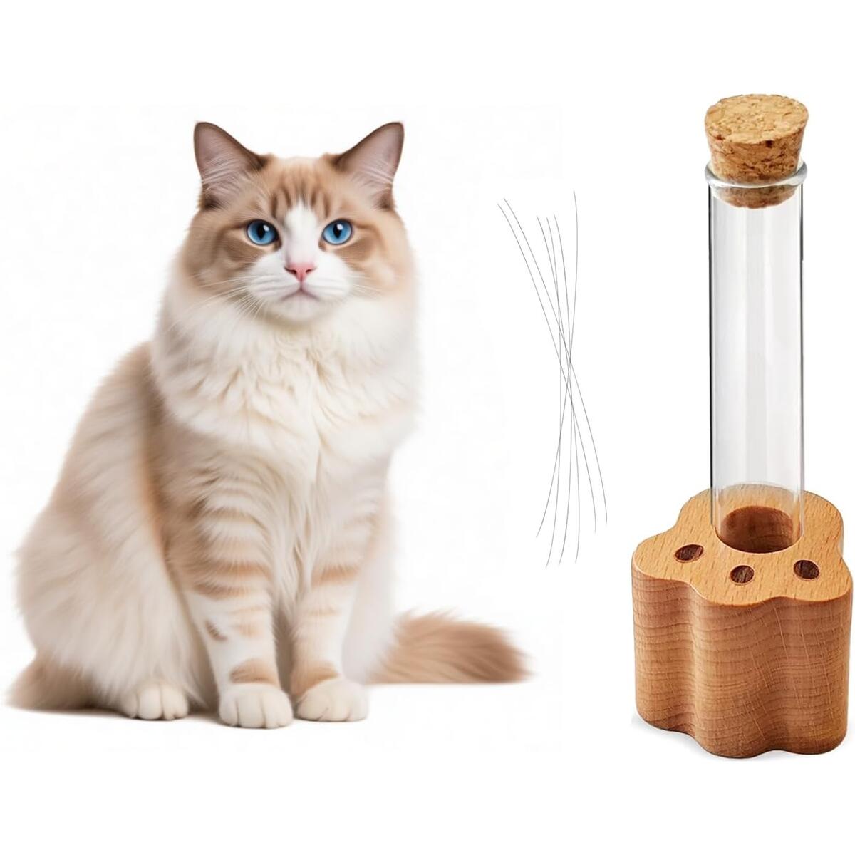 DegoCyhton Cat Whisker Holder, Wooden Clear Glass Jar, Sealed Cork Memorial Vase, Premium Cat Fur Keepsake, Desktop Display Decor Accent, Home Decor for Feline Owners, Thoughtful Pet Lover Gift