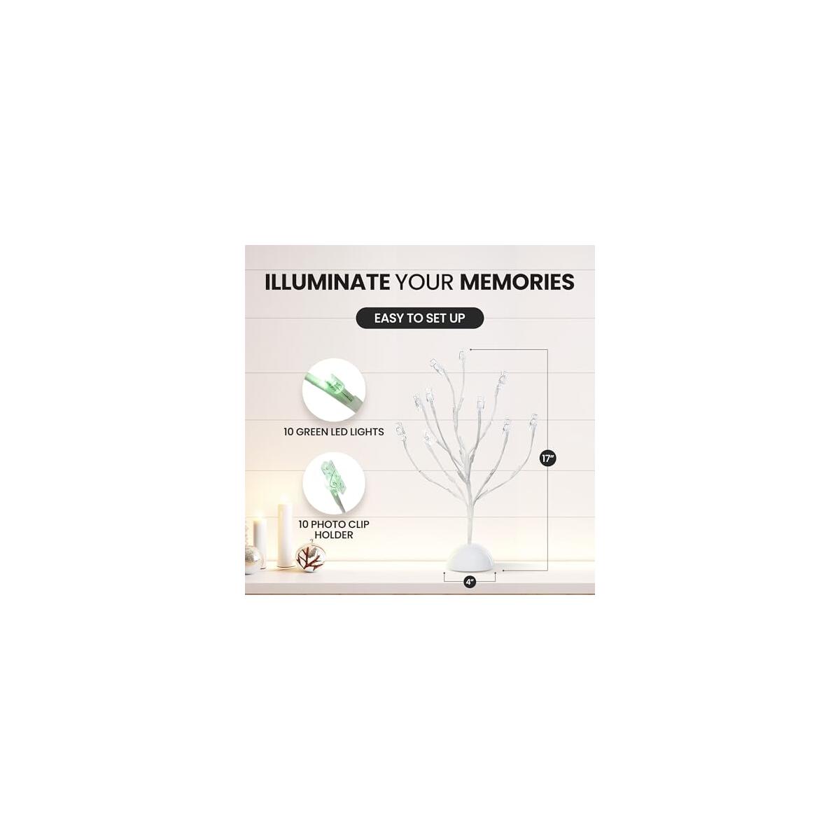 Money Tree Gift Card Deals - RebateKey