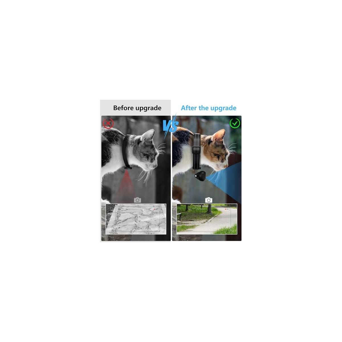 Cat Camera Collar Coupon - RebateKey