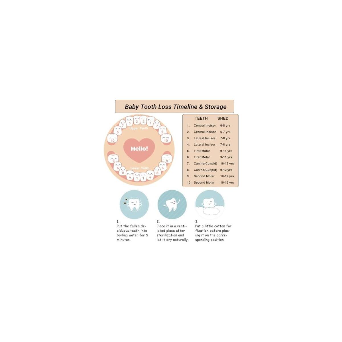 Tooth Fairy Tooth Holder For Kids Deal - RebateKey