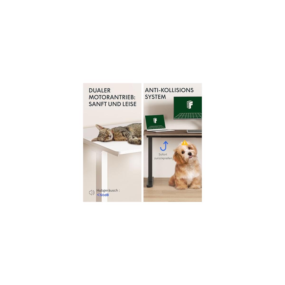 79 X 32 Inch Dual Motor Standing Desk Coupons - RebateKey