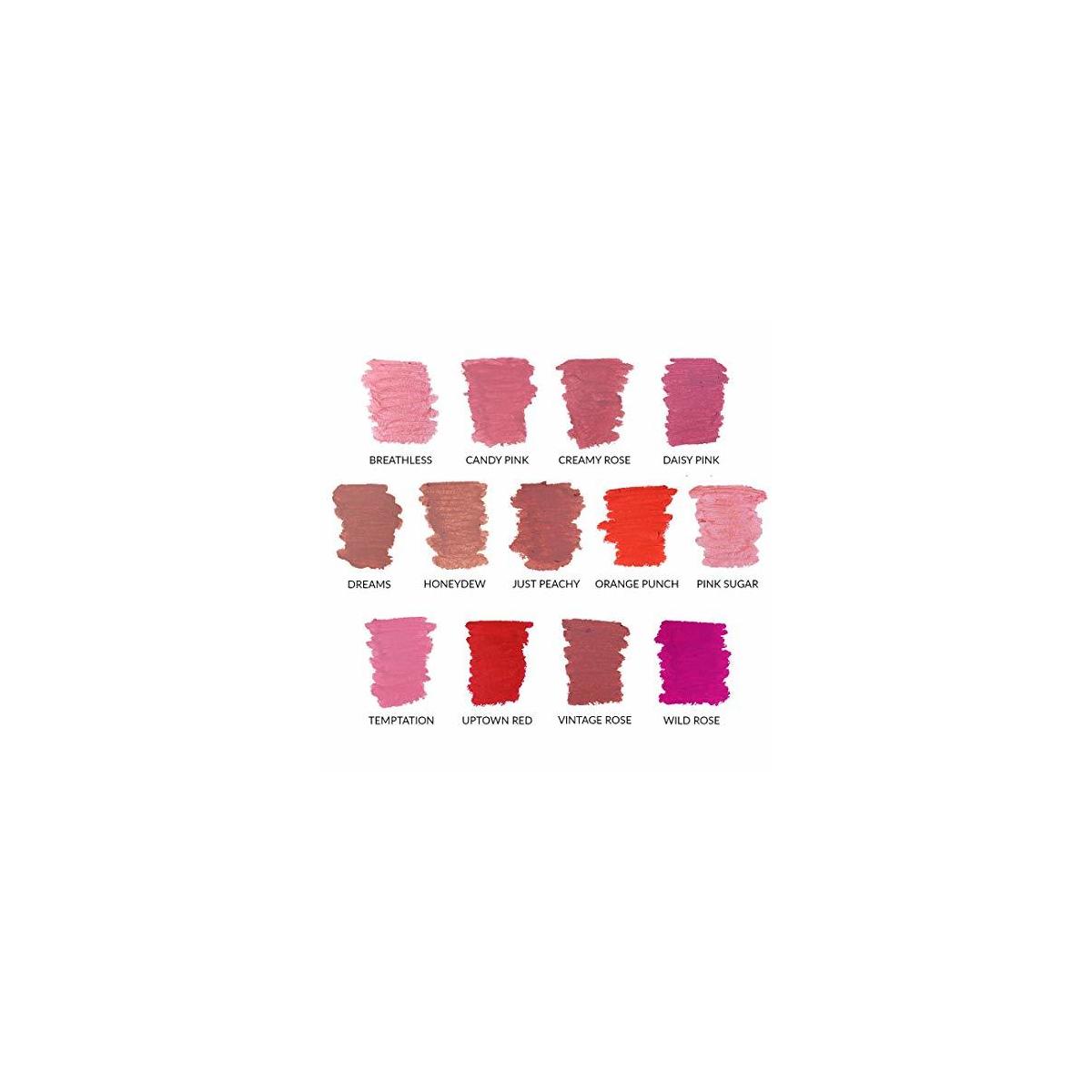 Vegan Lipstick Promo Code - RebateKey