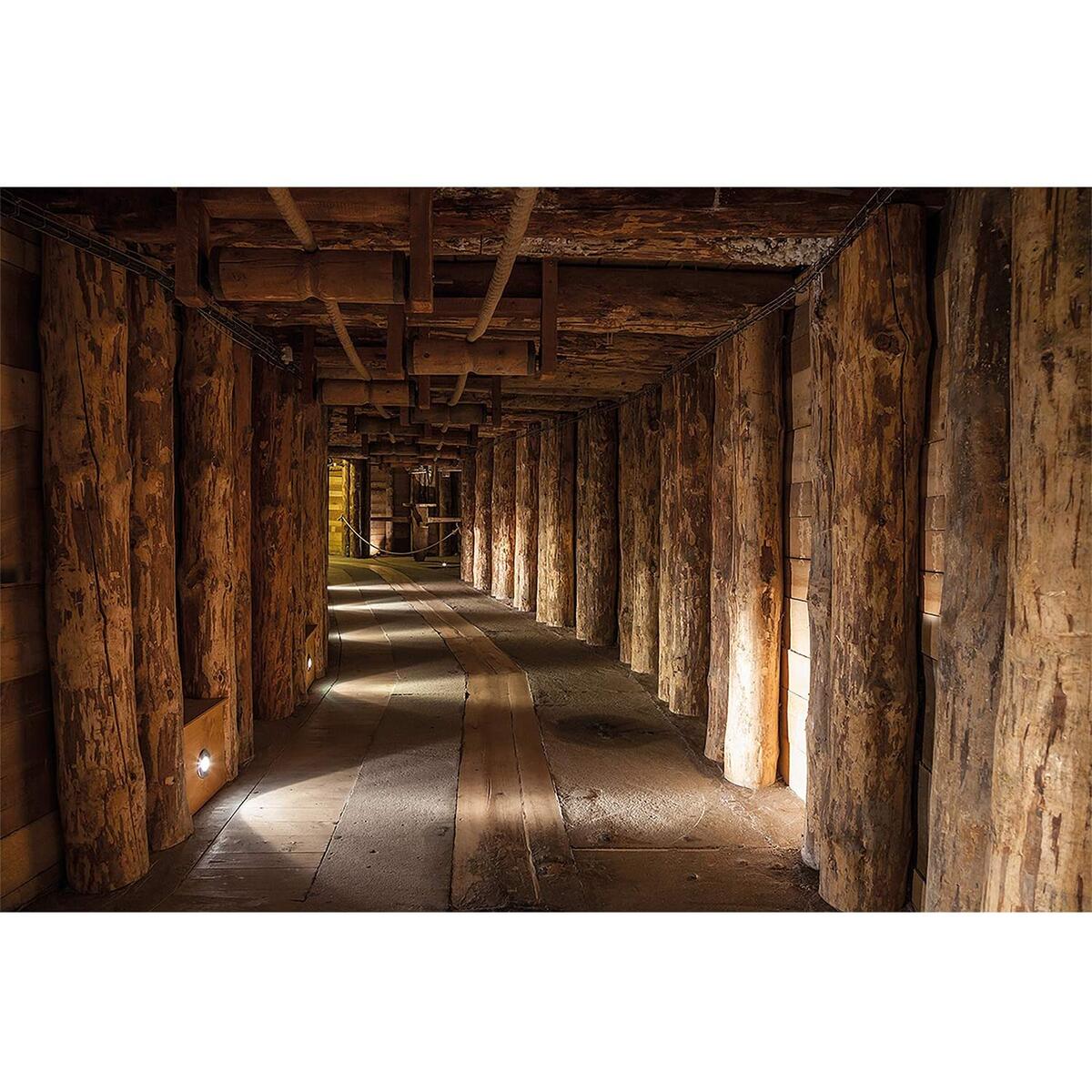 Poster Salt Mine Picture Coupon - RebateKey