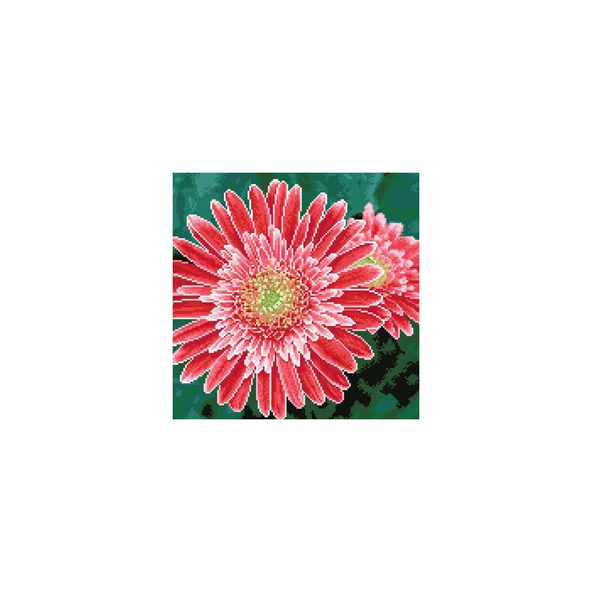 Diamond Dotz Pink Gerberas Coupon - RebateKey