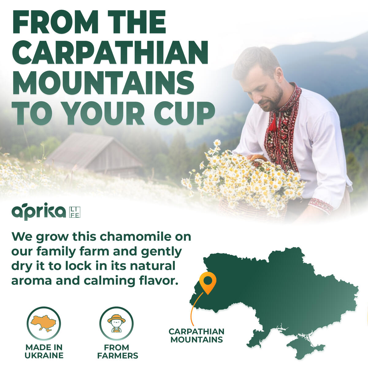 Calm Tea Promo Code - RebateKey