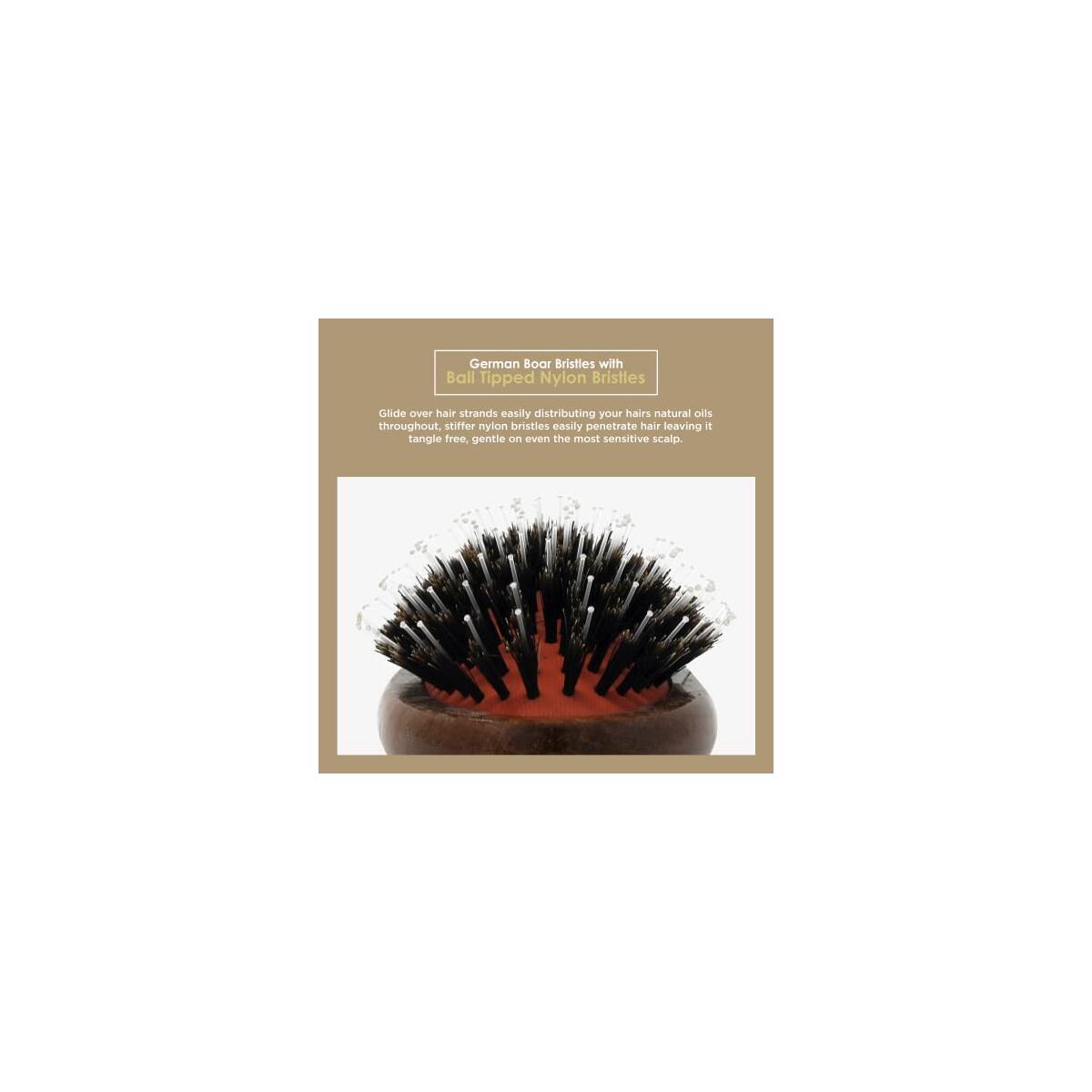 Spornette Boar Bristle Hair Deals - RebateKey