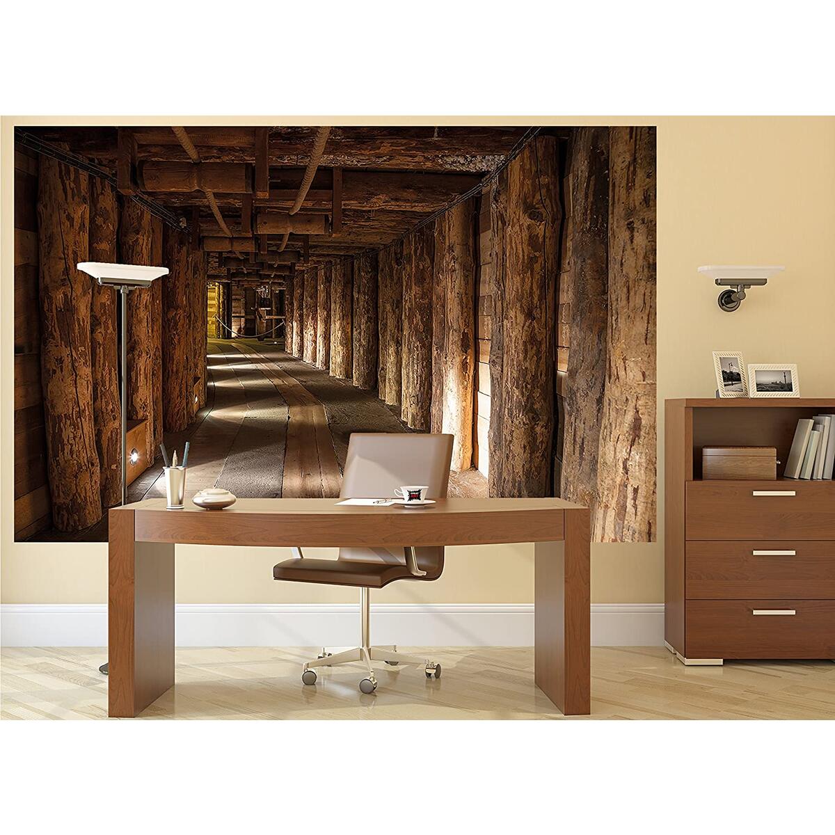 Poster Salt Mine Picture Coupon - RebateKey