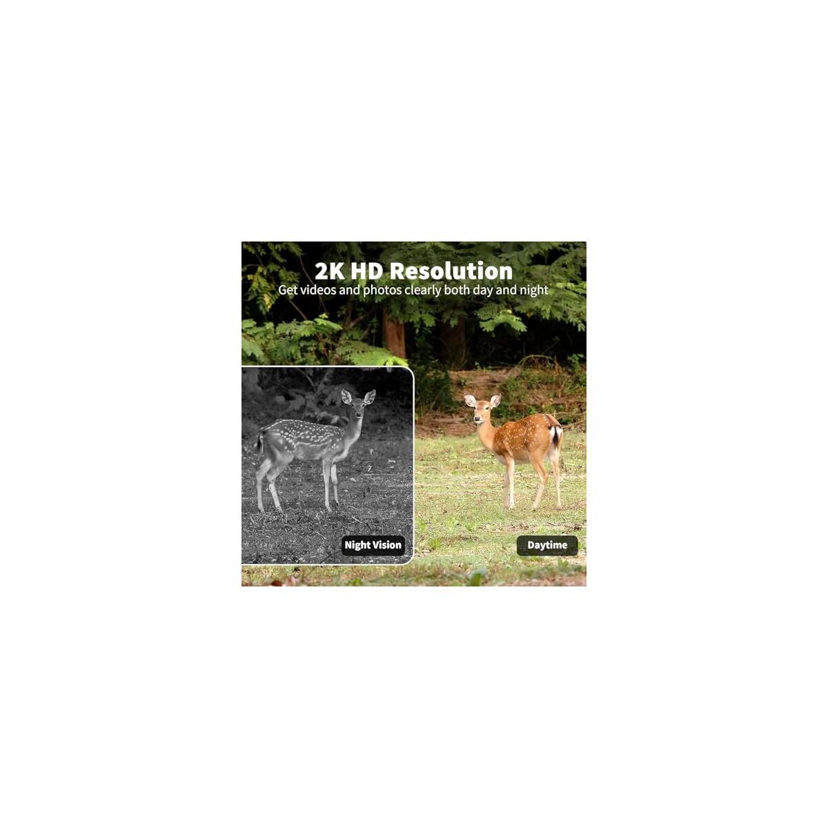 Rd Trail Camera With Promo Code - RebateKey