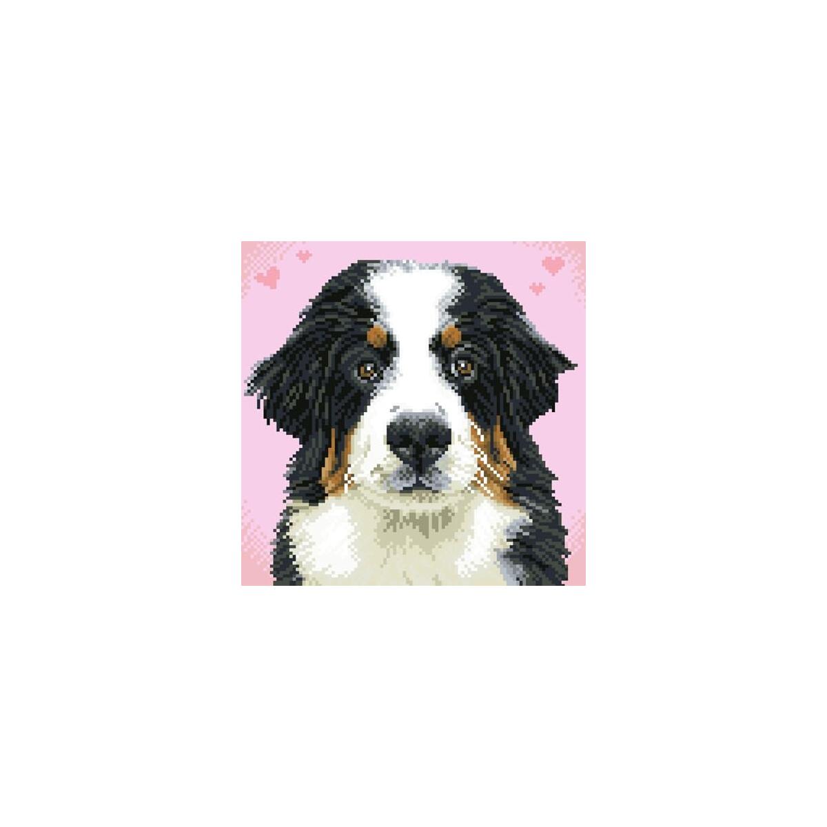 Diamond Dotz Say Hello Deal - RebateKey