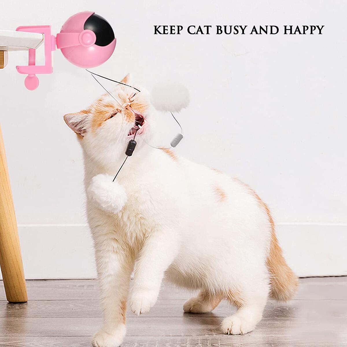 Smart Lifting Cat Ball Deals - RebateKey
