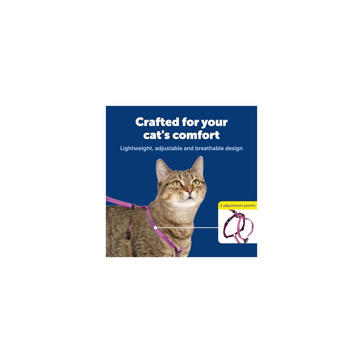 Petsafe Come With Me Deal - RebateKey