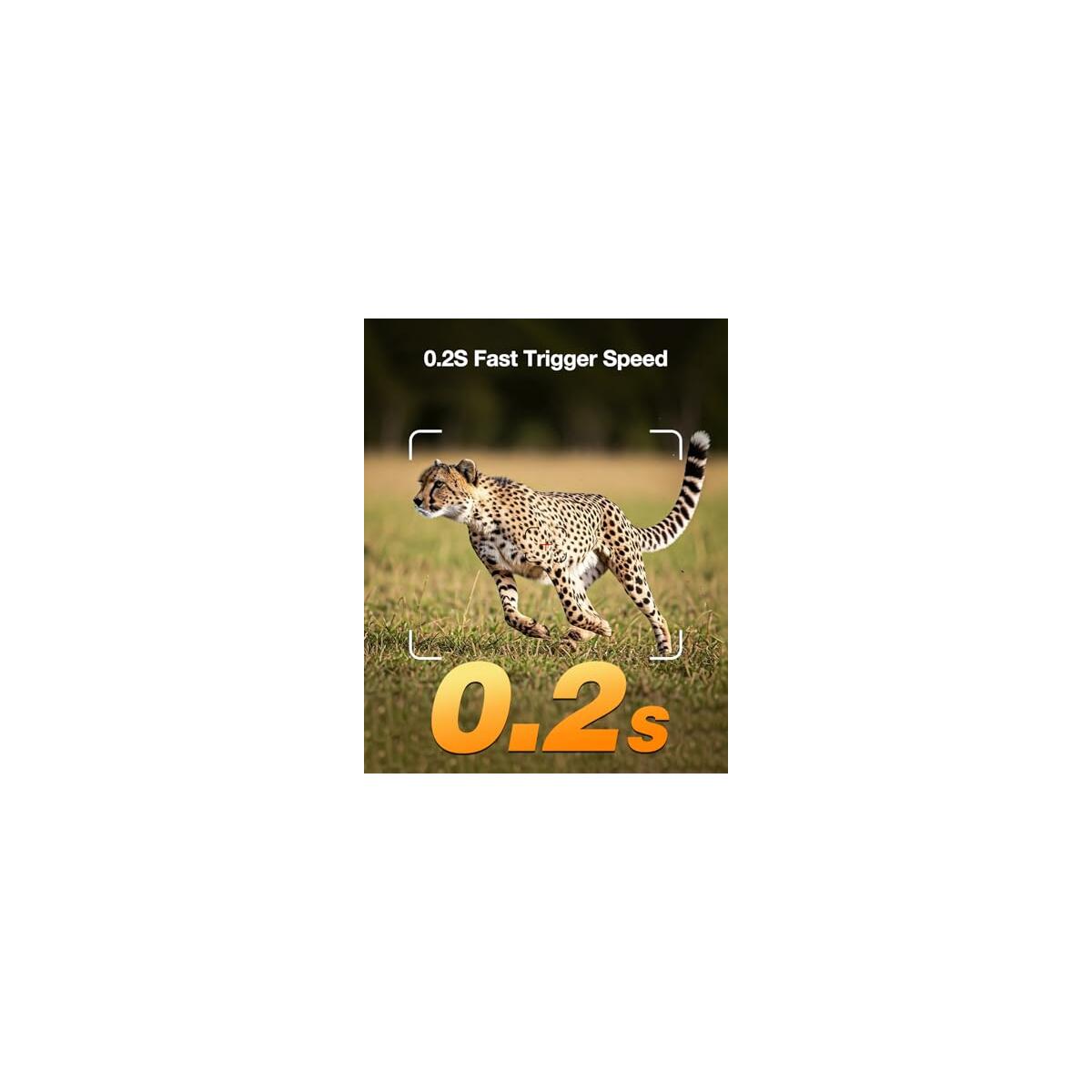 Trail Camera 6 Deals - RebateKey