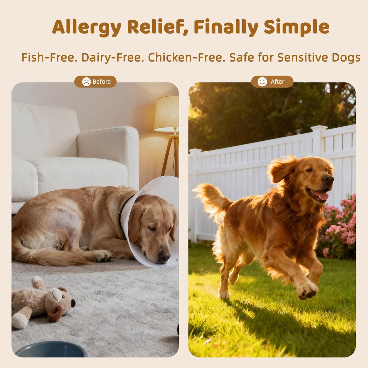 Allergy Immune Bites Coupons - RebateKey