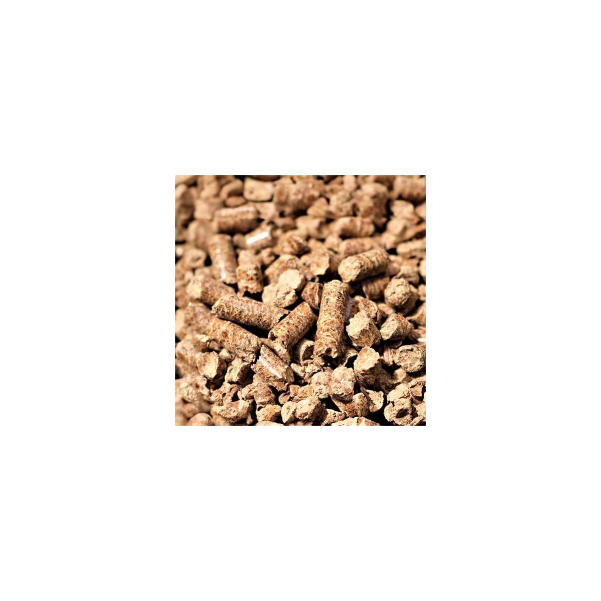 Bear Mountain Tailgating Promo Codes - RebateKey