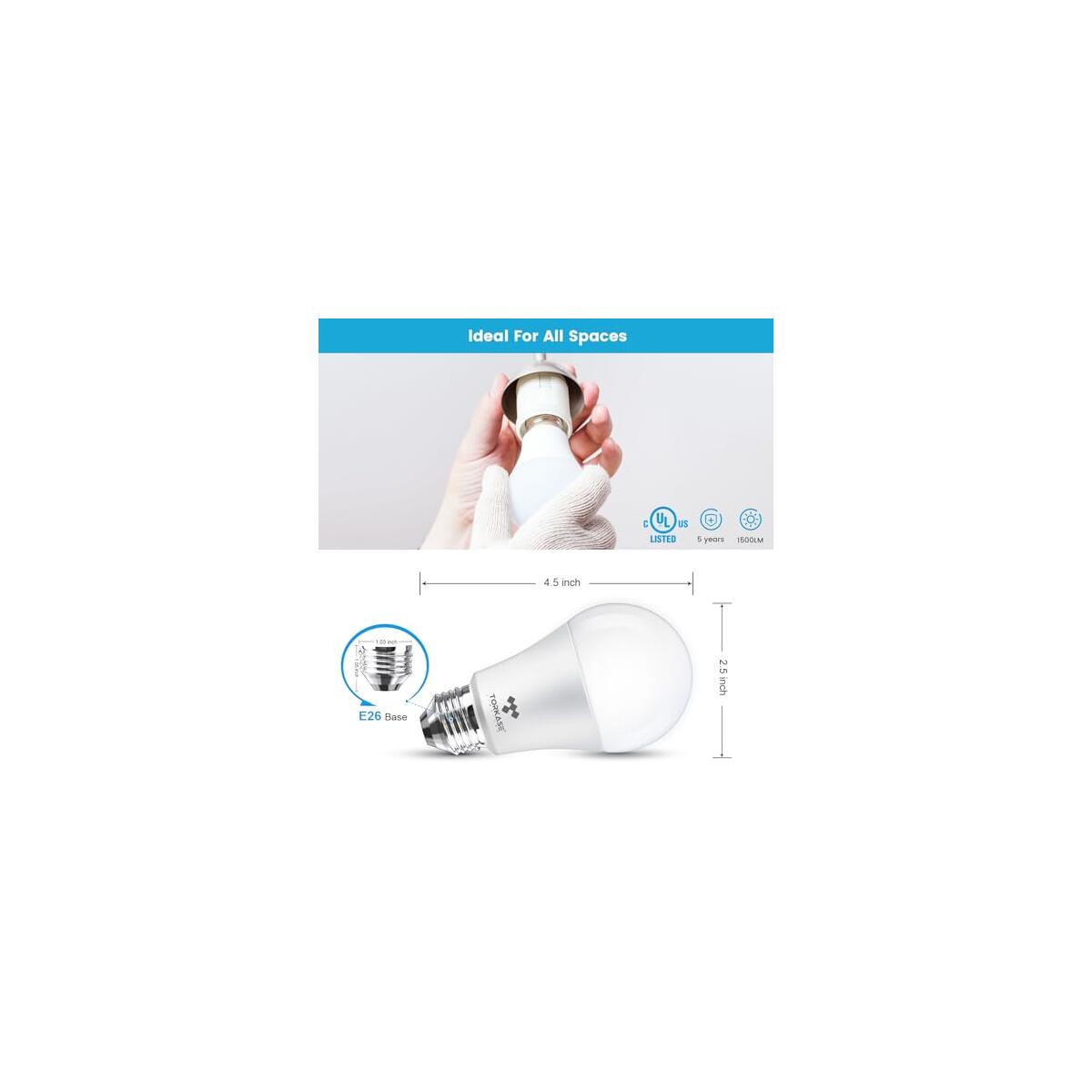 Light Bulbs Coupon - RebateKey