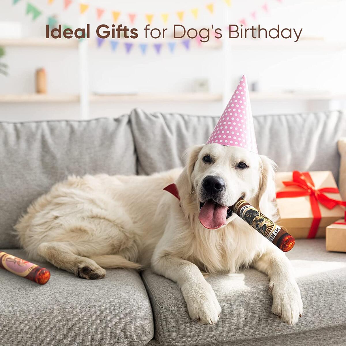 Dog Toys Coupons - RebateKey