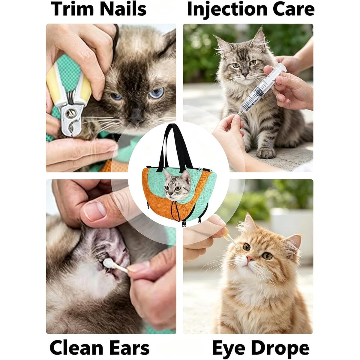 2 In 1 Cat Coupon - RebateKey