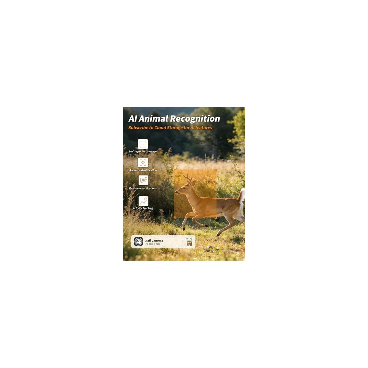Loatos Trail Camera Coupon - RebateKey