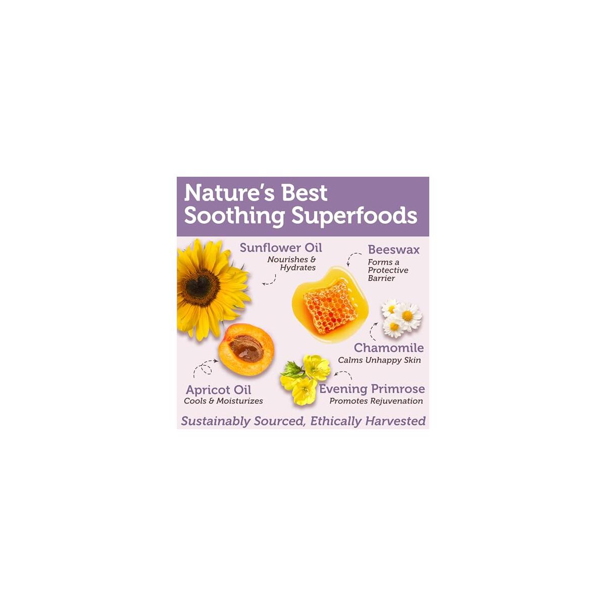 Usda Organic Nipple Coupons - RebateKey