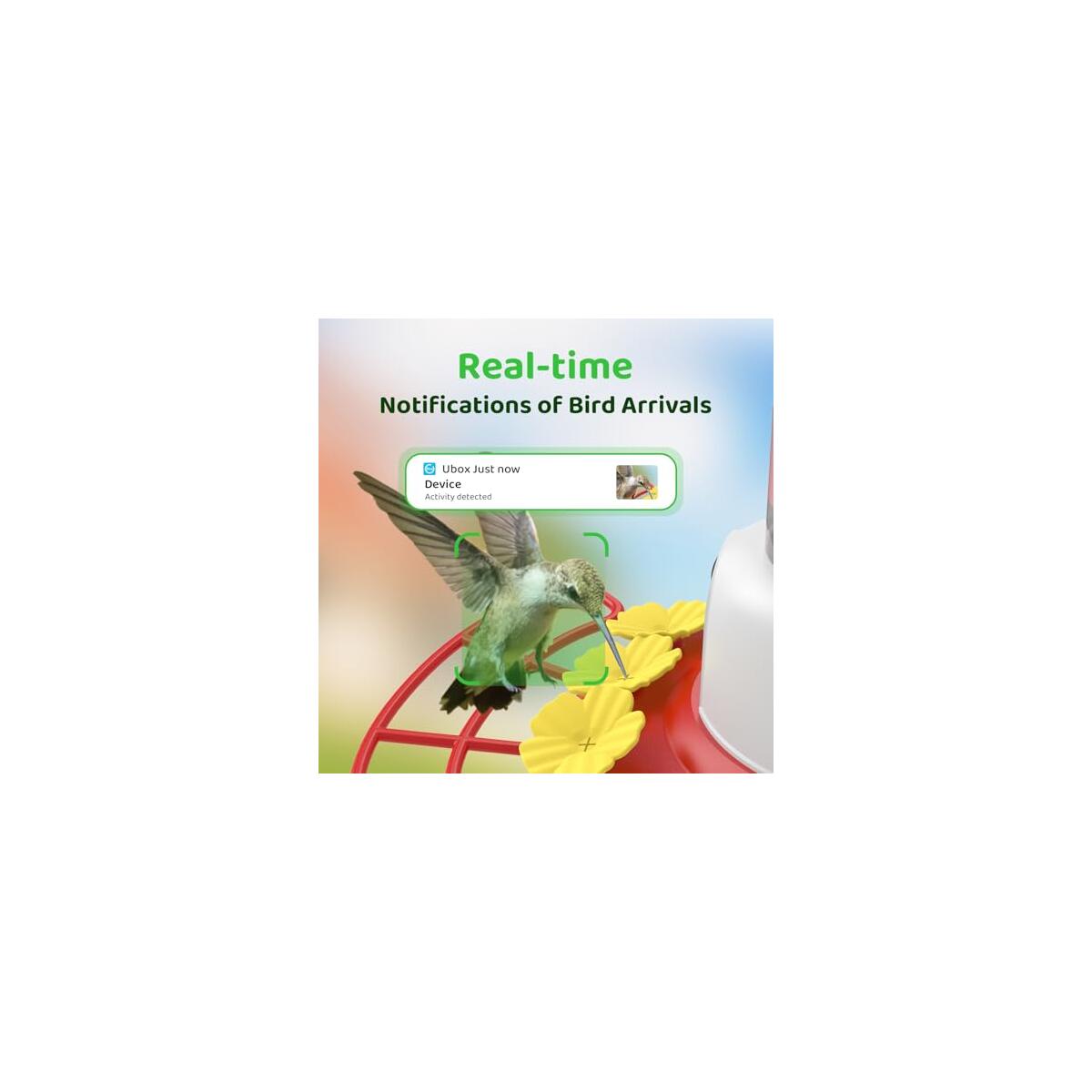 Smart Hummingbird Feeder Promo Codes - RebateKey