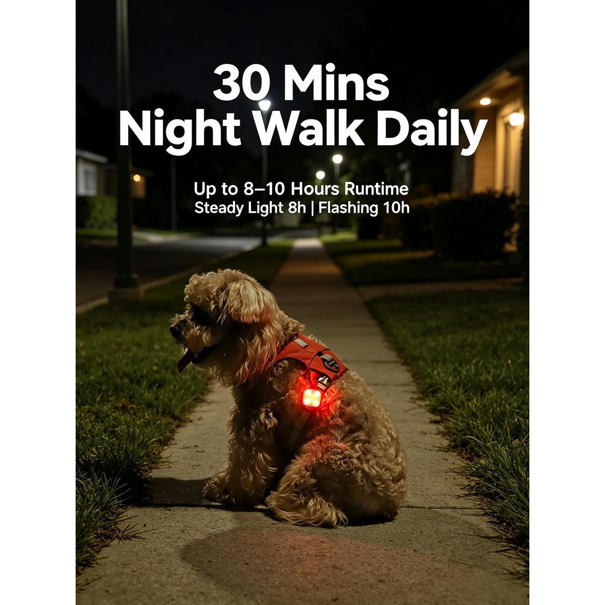 Rechargeable Led Dog 1 Coupon - RebateKey