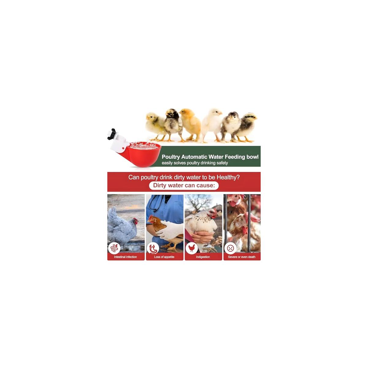 20 Pack Chicken Waterer Cups 1 Deals - RebateKey
