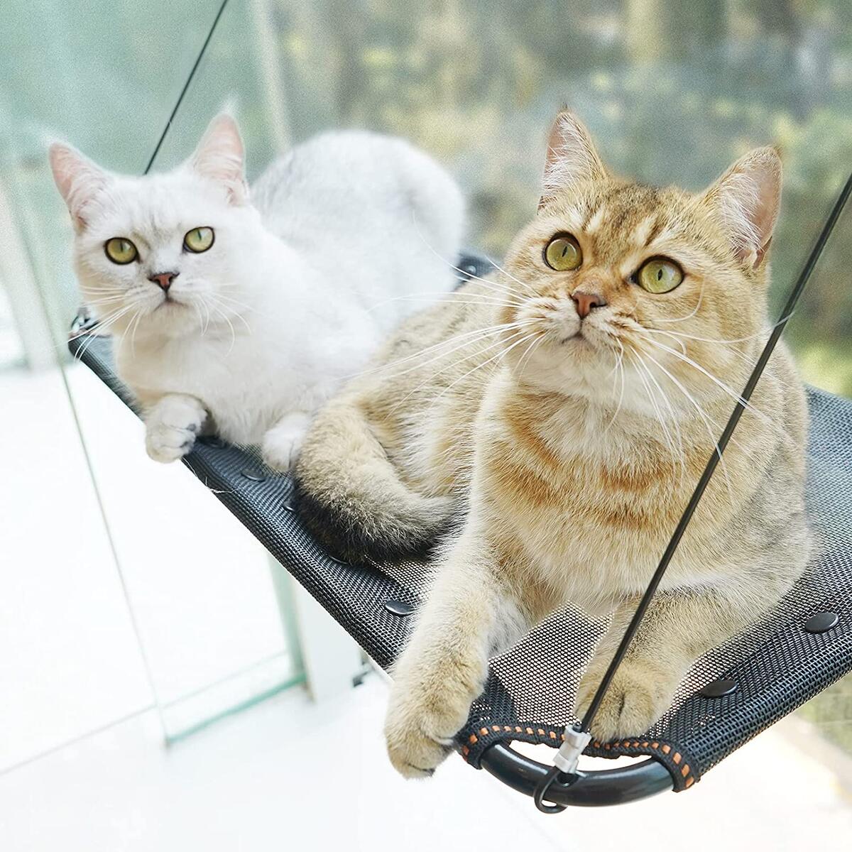 Cat Window Perch Deals - RebateKey